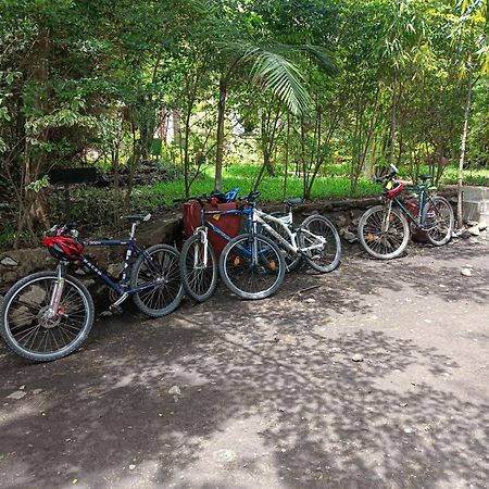Shamba Hostel Usa River ภายนอก รูปภาพ