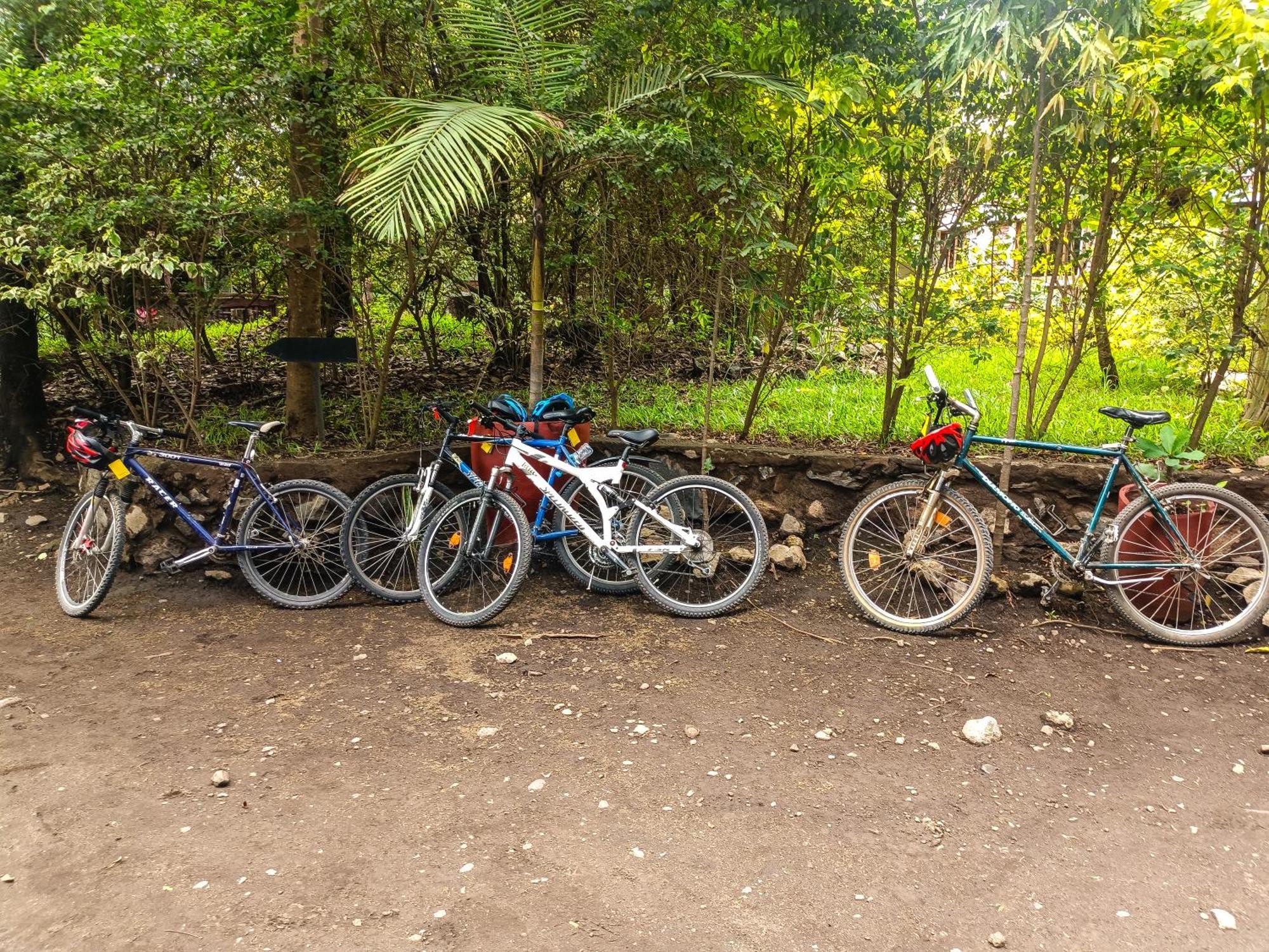 Shamba Hostel Usa River ภายนอก รูปภาพ