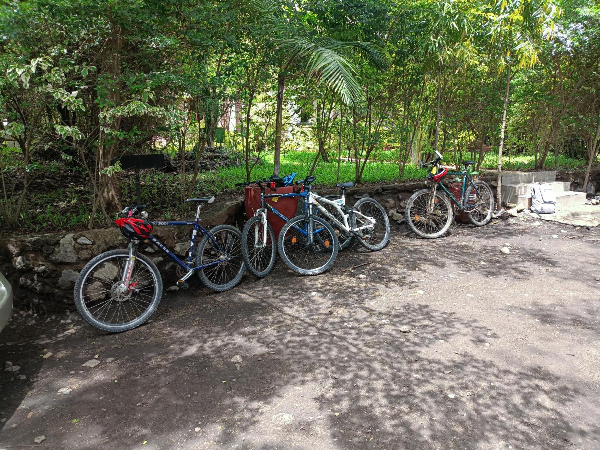 Shamba Hostel Usa River ภายนอก รูปภาพ