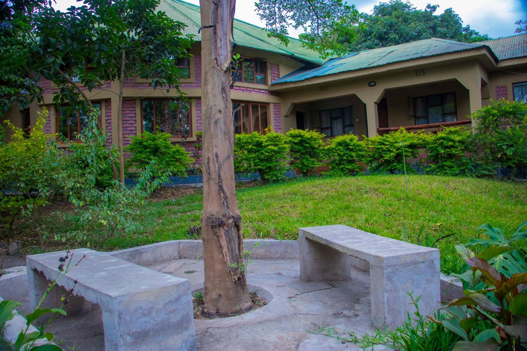 Shamba Hostel Usa River ภายนอก รูปภาพ