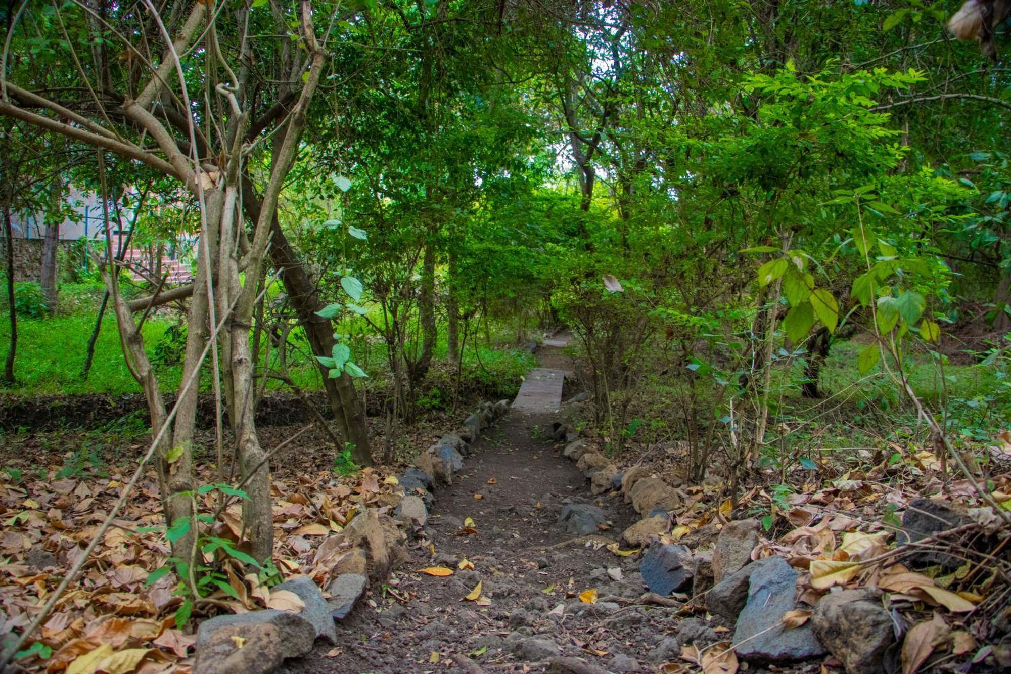 Shamba Hostel Usa River ภายนอก รูปภาพ