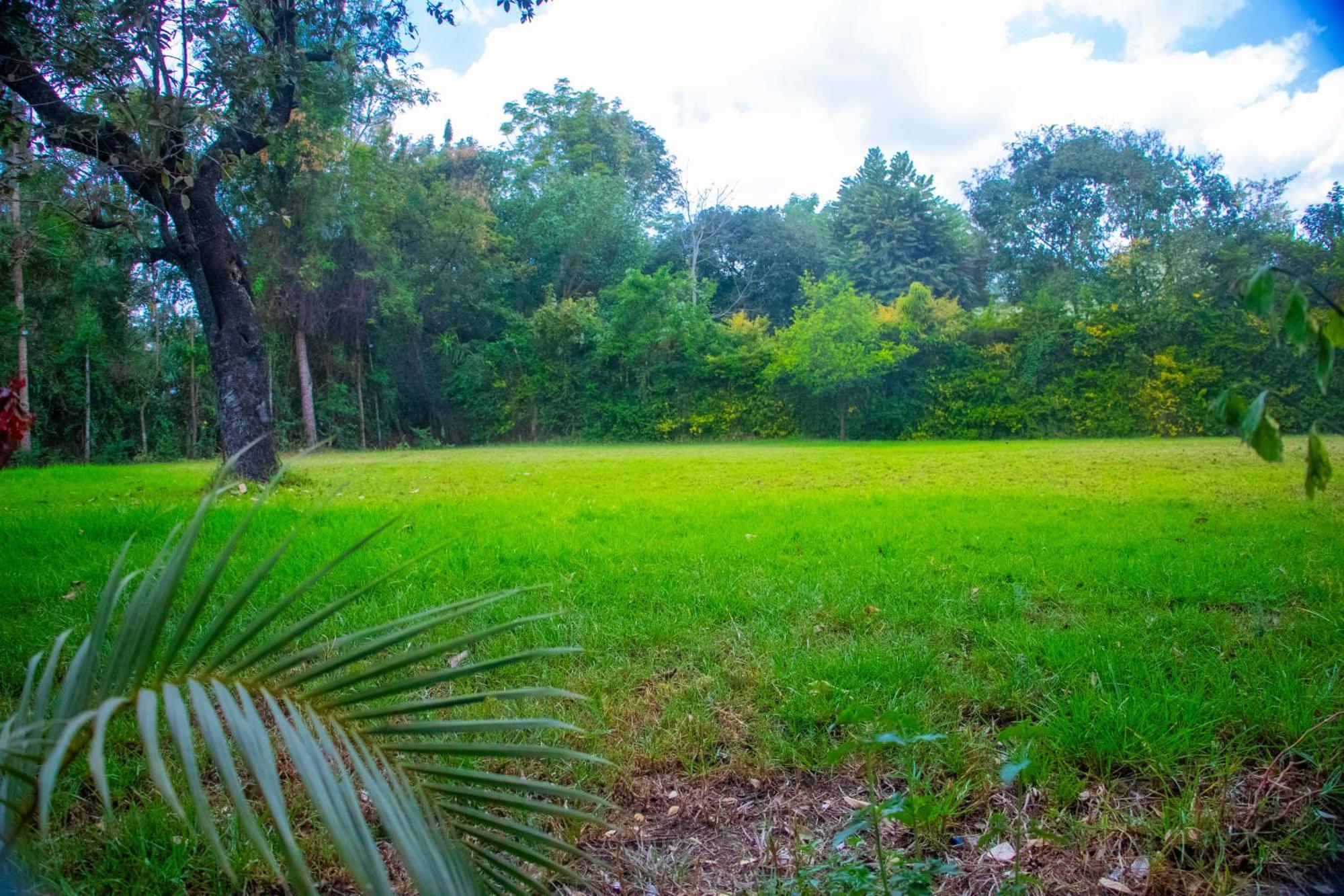 Shamba Hostel Usa River ภายนอก รูปภาพ