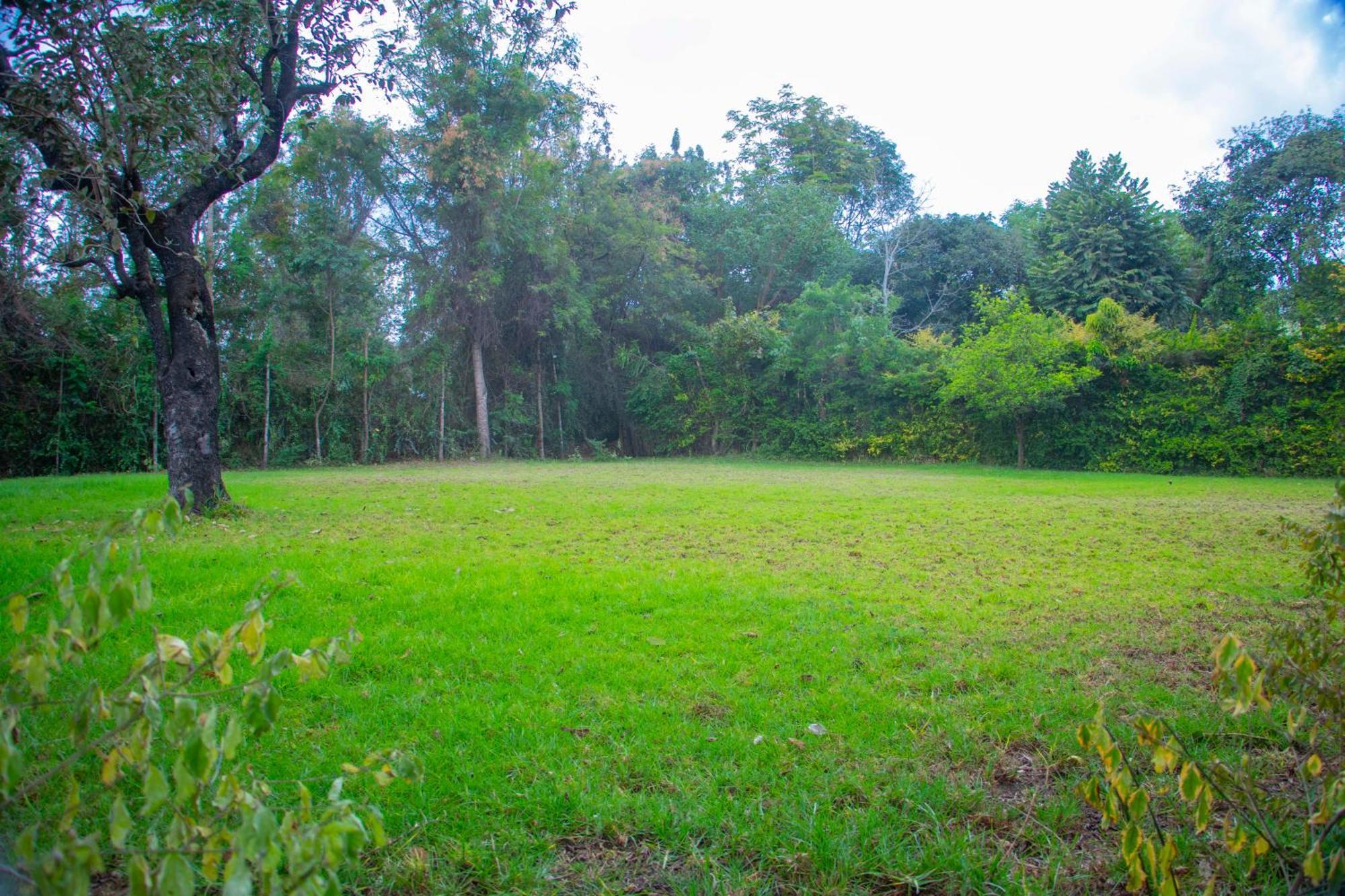 Shamba Hostel Usa River ภายนอก รูปภาพ
