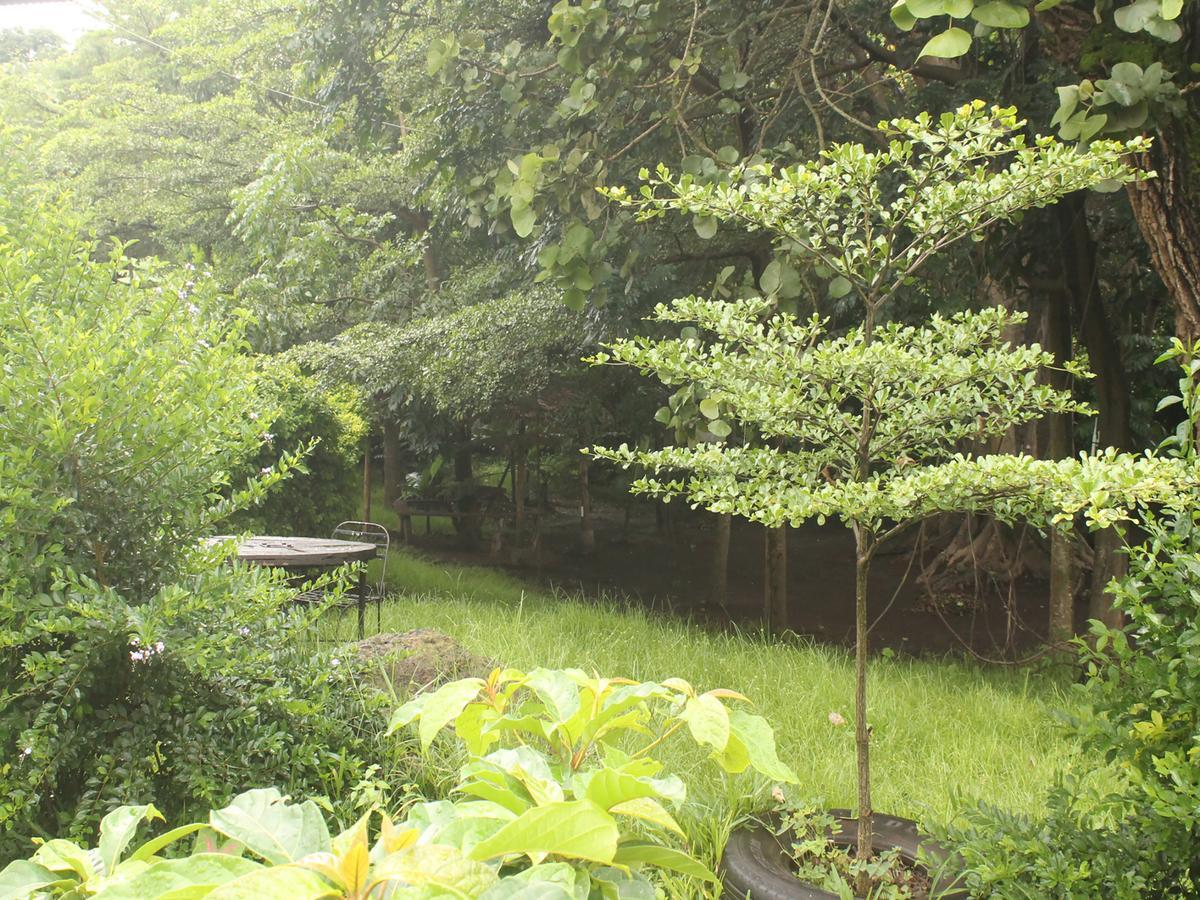 Shamba Hostel Usa River ภายนอก รูปภาพ