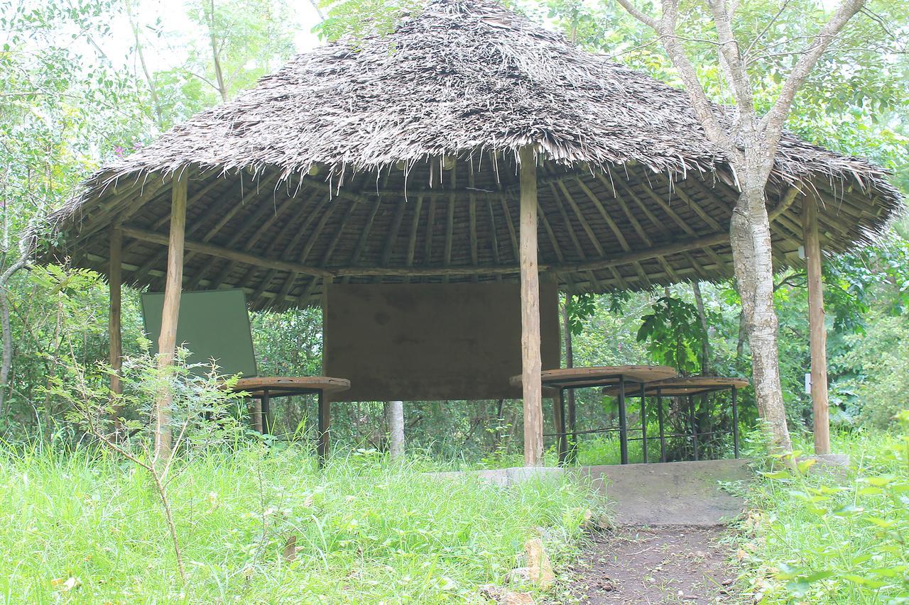 Shamba Hostel Usa River ภายนอก รูปภาพ